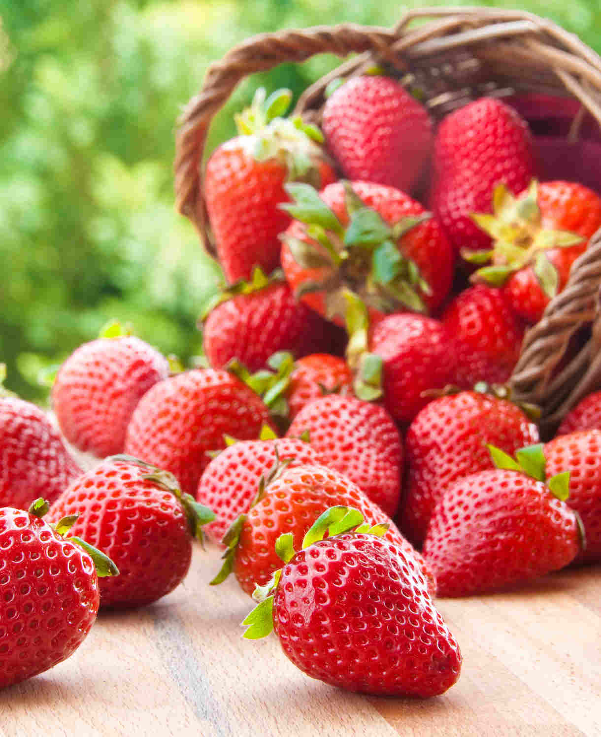 Flavoursome Strawberry Collection - Bare roots | Set-of-90