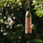 Everyday Peanut Feeder, 300g Capacity, Screw-top Lid | Green