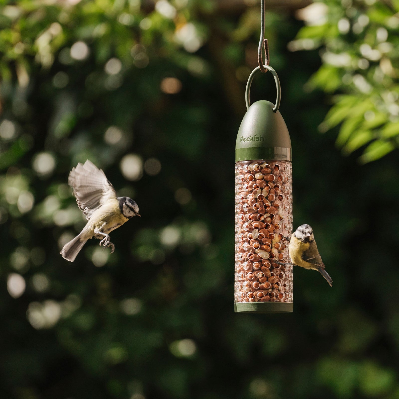 Everyday Peanut Feeder, 300g Capacity, Screw-top Lid | Green