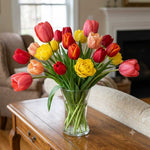 Sunshine Tulip Collection - 75 Bulbs