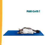 Pet Cooling Mat For Cats & Dogs - Small