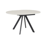 Indoor & Outdoor Living Harley Extendable Dining Table With 4 Emily Chairs