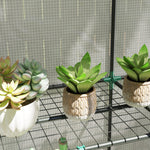 3 Tier Lean-to Mini Greenhouse W/  Hemmed Edging | Green