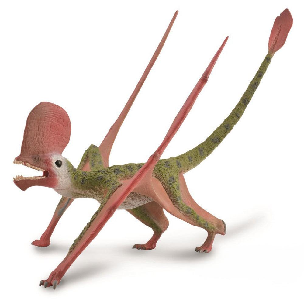 Caviramus Dinosaur Toy With Movable Jaw, Hand-painted