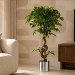 120cm Twisted Trunk Artificial Fruticosa Ficus Tree Silver Planter