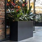 Long Zinc Galvanised Tall Trough Planter | 80cm x 25cm x 60cm | Matte Black