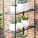 Walk-in Transparent Greenhouse