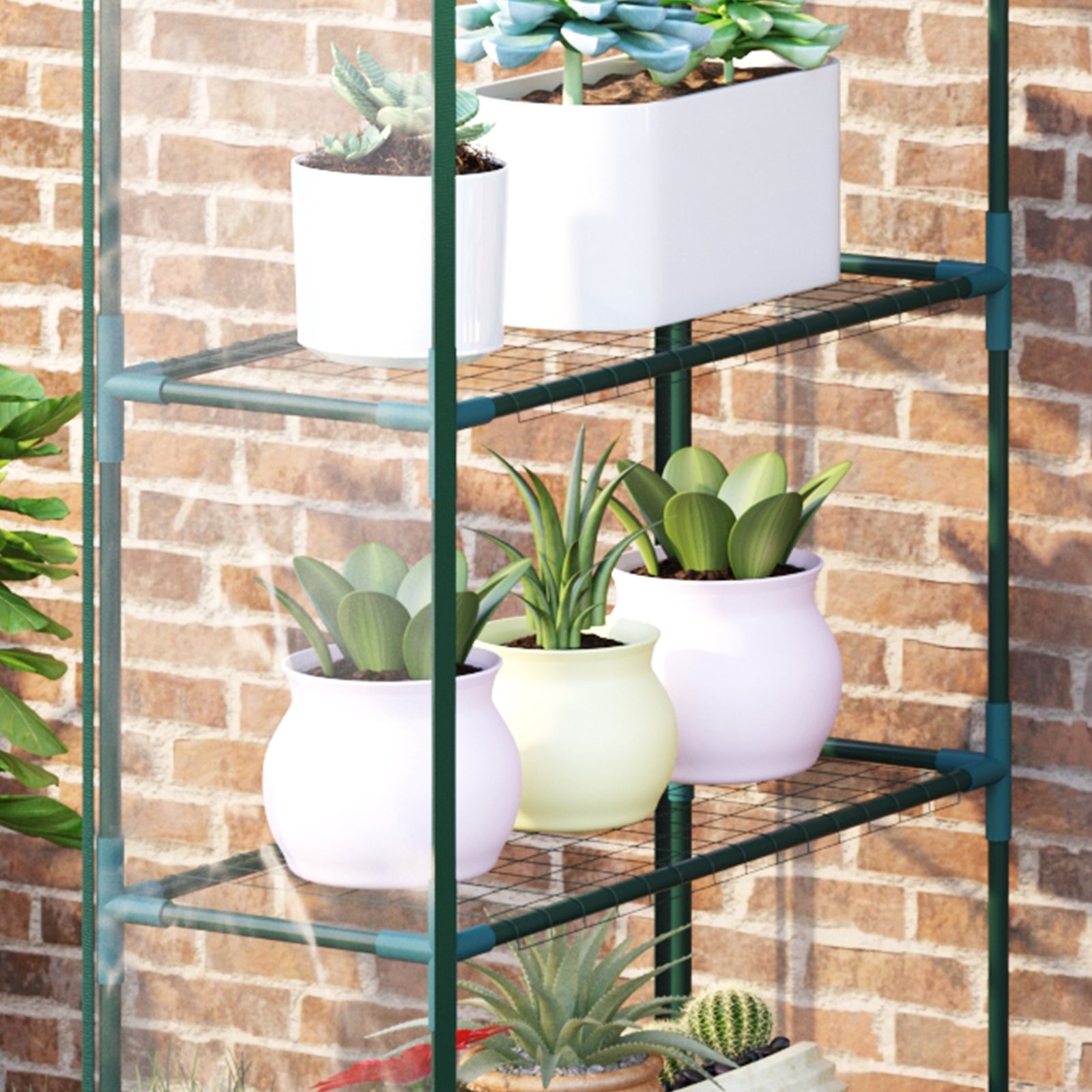 Walk-in Transparent Greenhouse