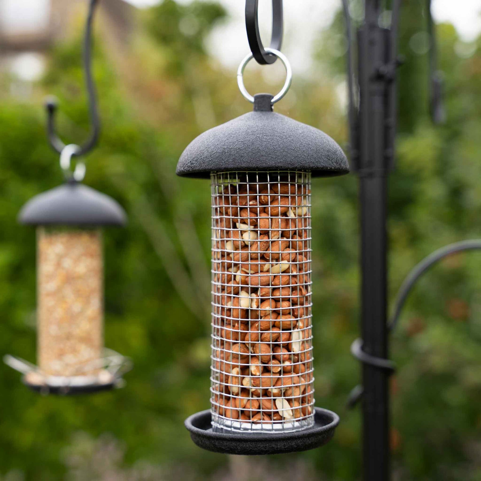 Steel Small Peanut Feeder | Black