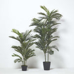 Multi Stem Green Palm Tree In Pot | 120cm | Green