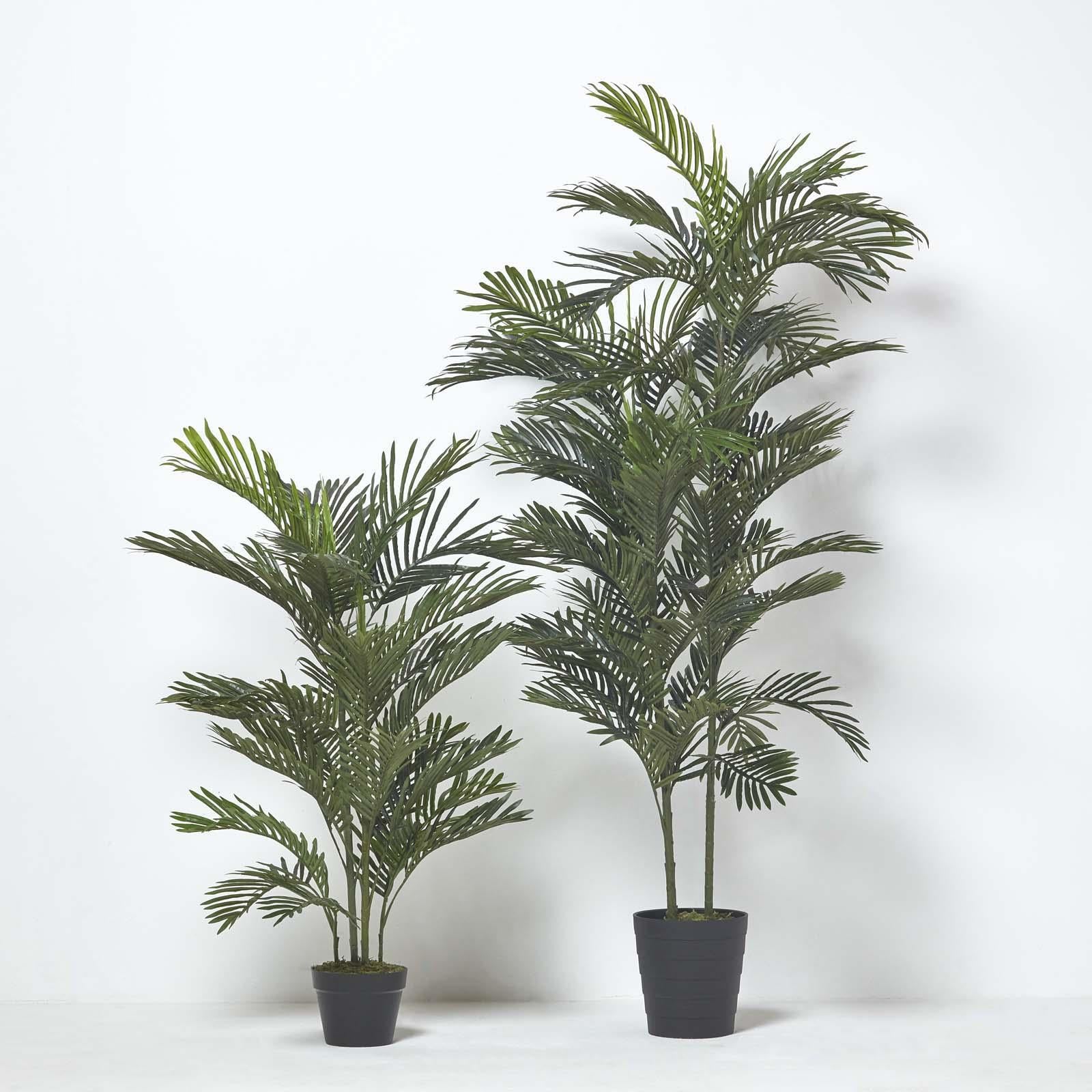 Multi Stem Green Palm Tree In Pot | 120cm | Green
