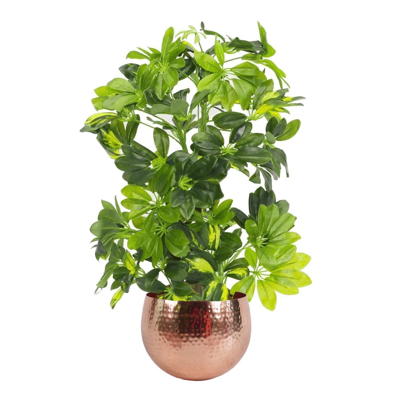 75cm Artificial Arboricola Gold Capella Plant Copper Planter