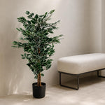 Artificial 130cm Tall Variegated White/green Bushy Ficus Tree