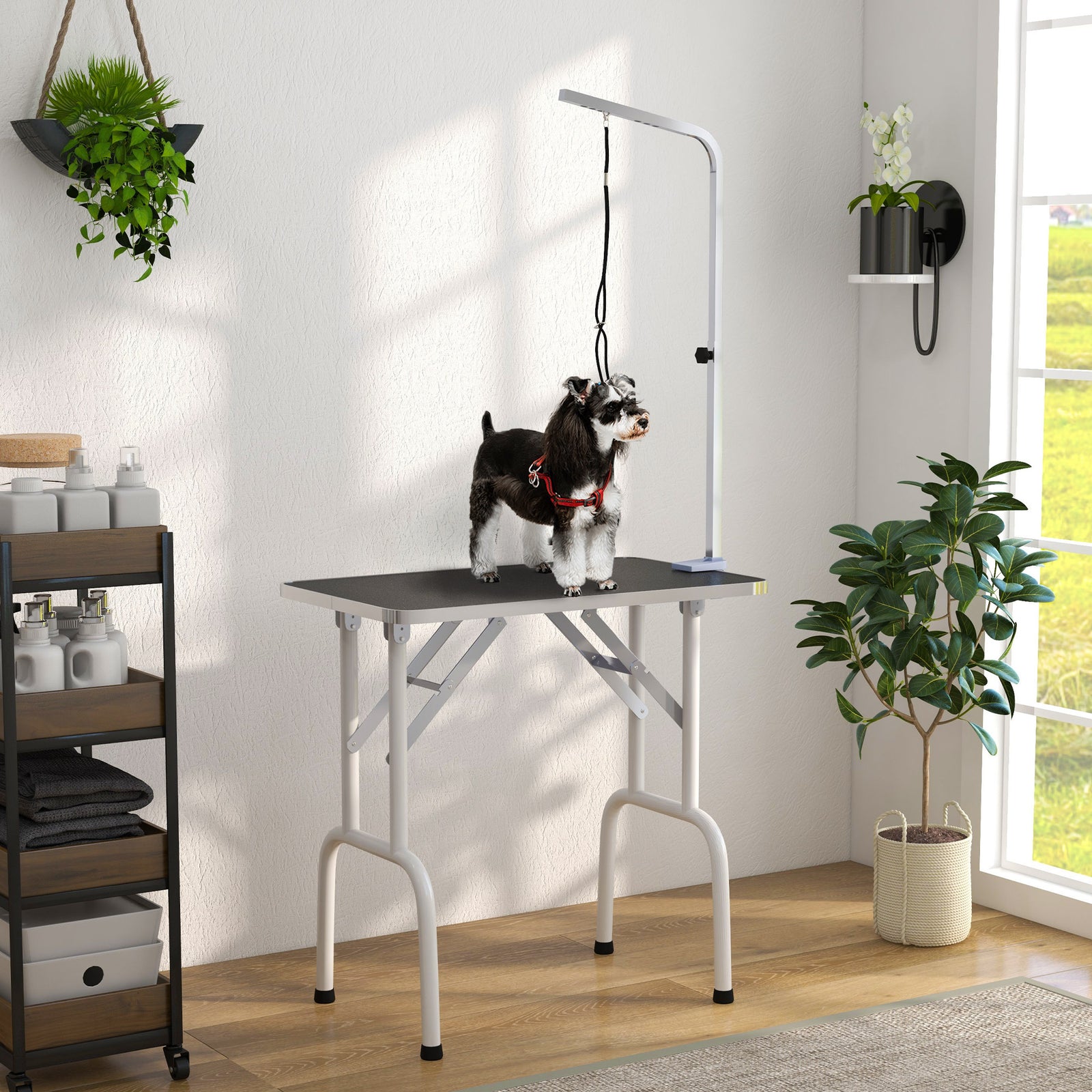 Foldable Dog Grooming Table Adjustable Arm For Small Dogs 81x49x80 Cm