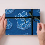 2 Sheets & 2 Tags Wrapping Paper