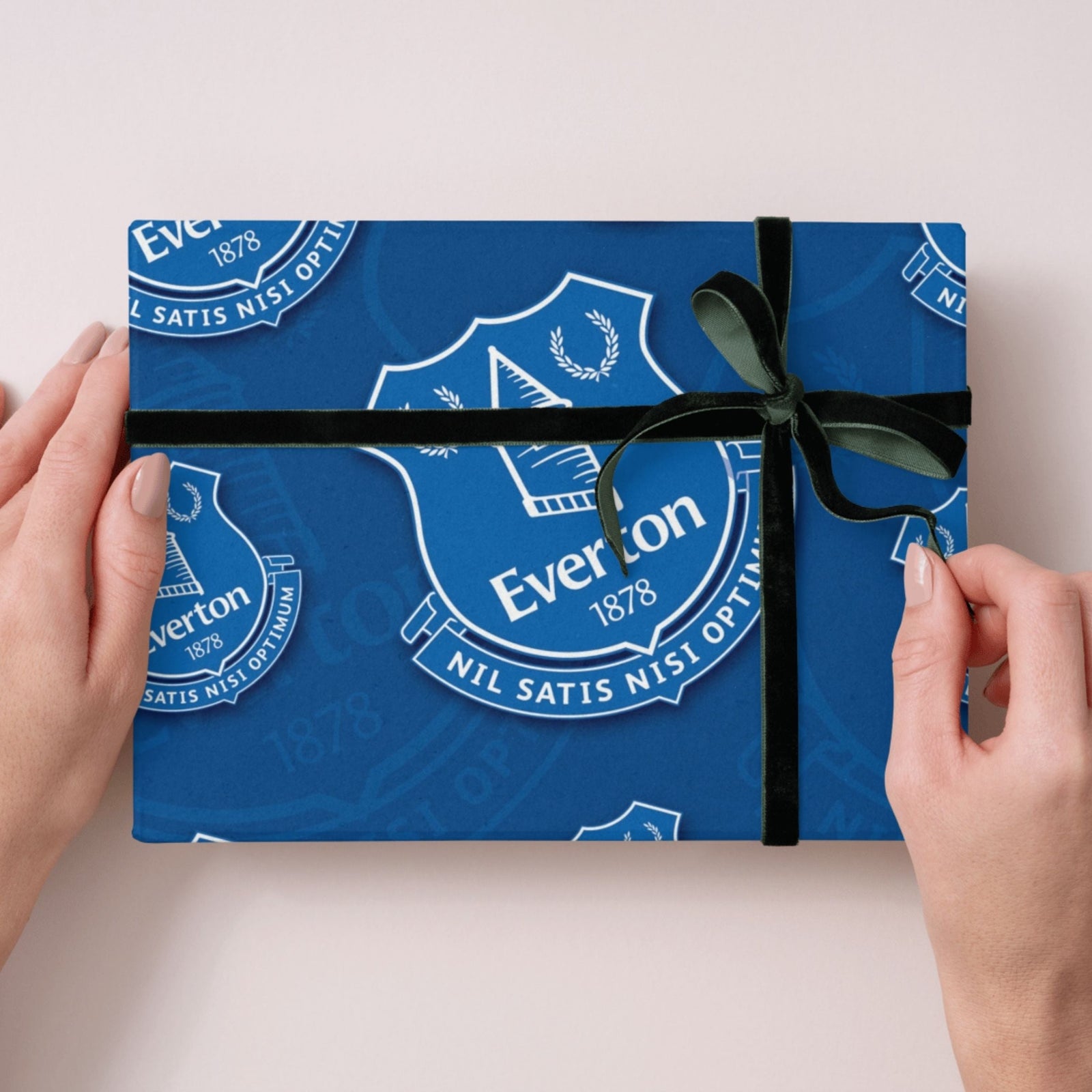 2 Sheets & 2 Tags Wrapping Paper