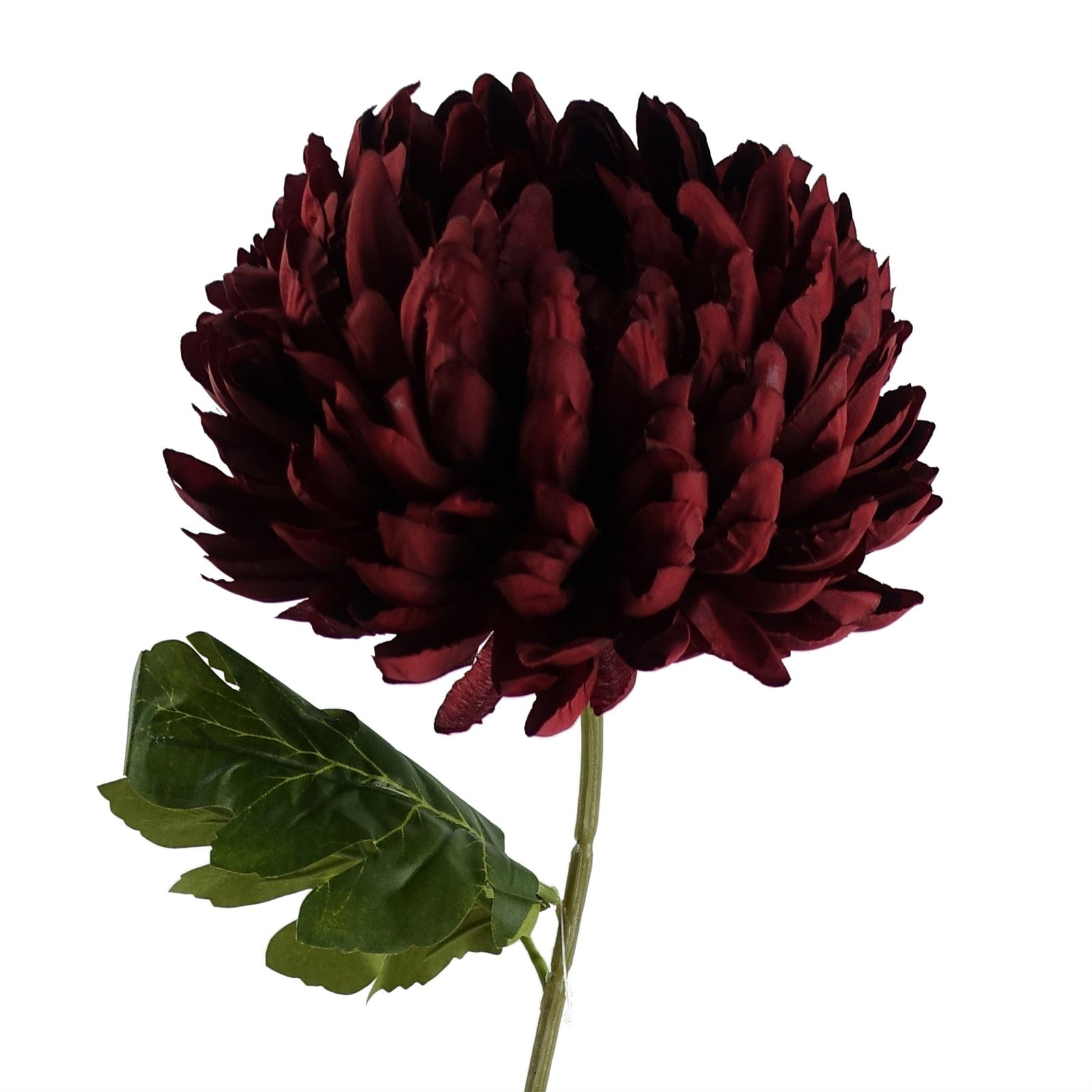 Pack Of 6 X 75cm Extra Large Reflex Chrysanthemum - Red