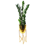 Artificial 75cm Zanzibar Green Gem Zamioculcas Succulent Indoor Plant