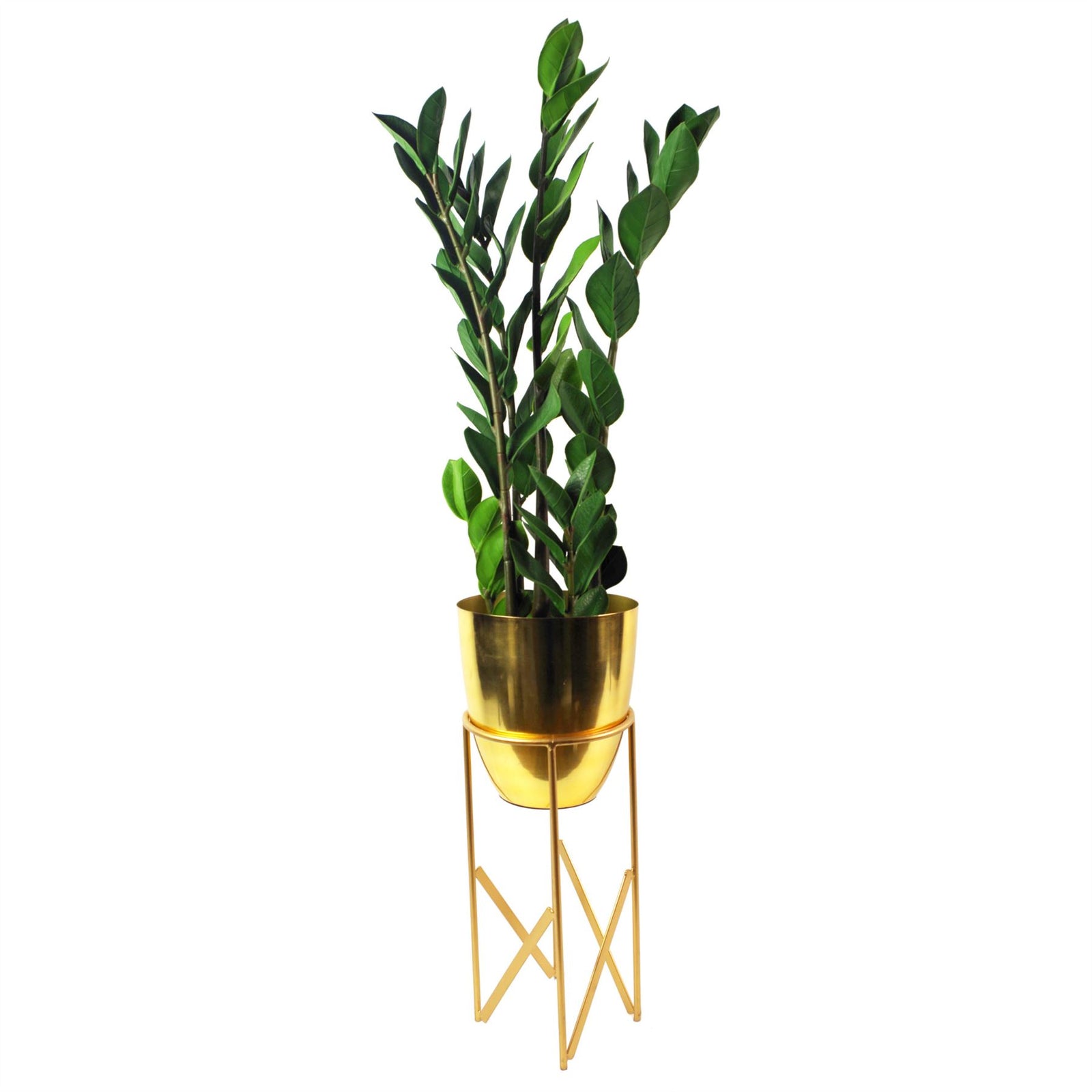 Artificial 75cm Zanzibar Green Gem Zamioculcas Succulent Indoor Plant