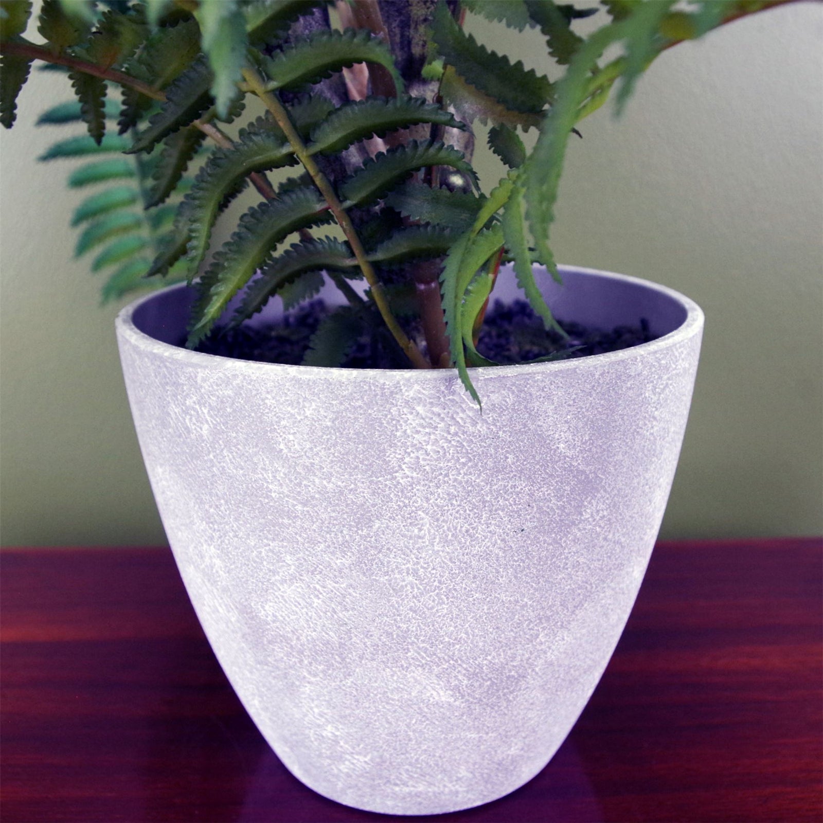 Artificial Fern Tree Plant In Decorative Planter Botanik