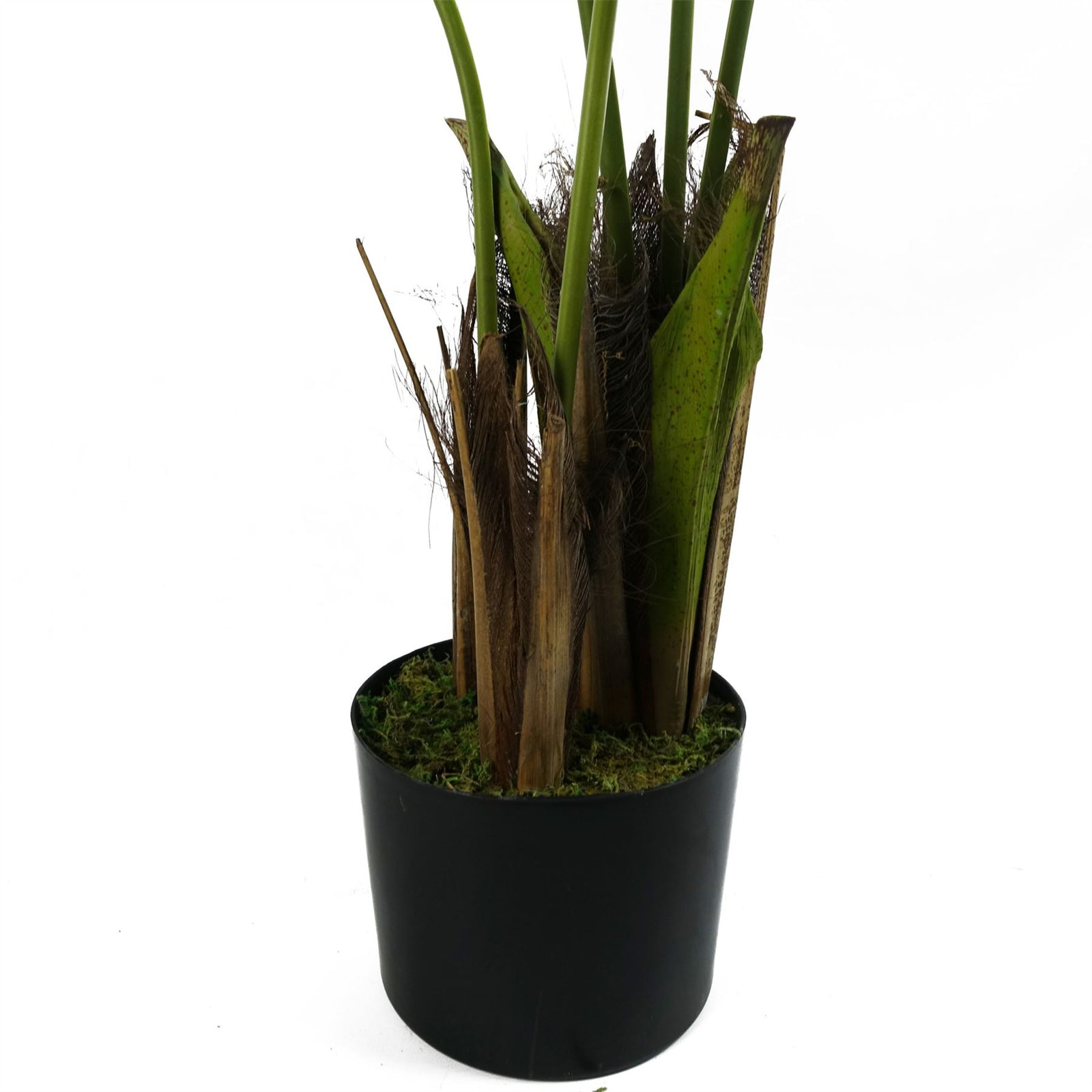 Kentia Palm Artificial Tree 120cm  - Realistic Plant By Botanik