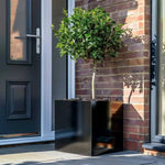 Zinc Galvanised Square Planter | 60cm x 60cm x 60cm | Black Gloss