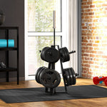 Weight Plate Rack For 5cm Weight Plates And Barbell Bar | Black