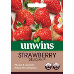 Strawberry Delician F1 | 10 Seeds