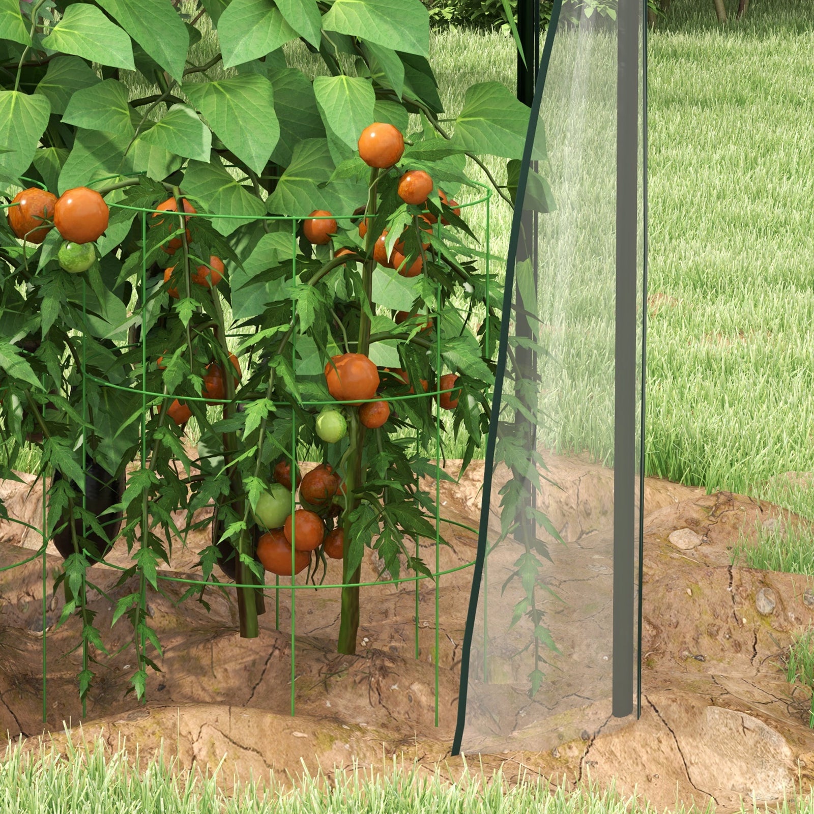 Portable Mini Tomato Greenhouse W/ Zipped Doors