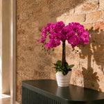 Artificial 85cm Deluxe Bush Orchid Dark Pink