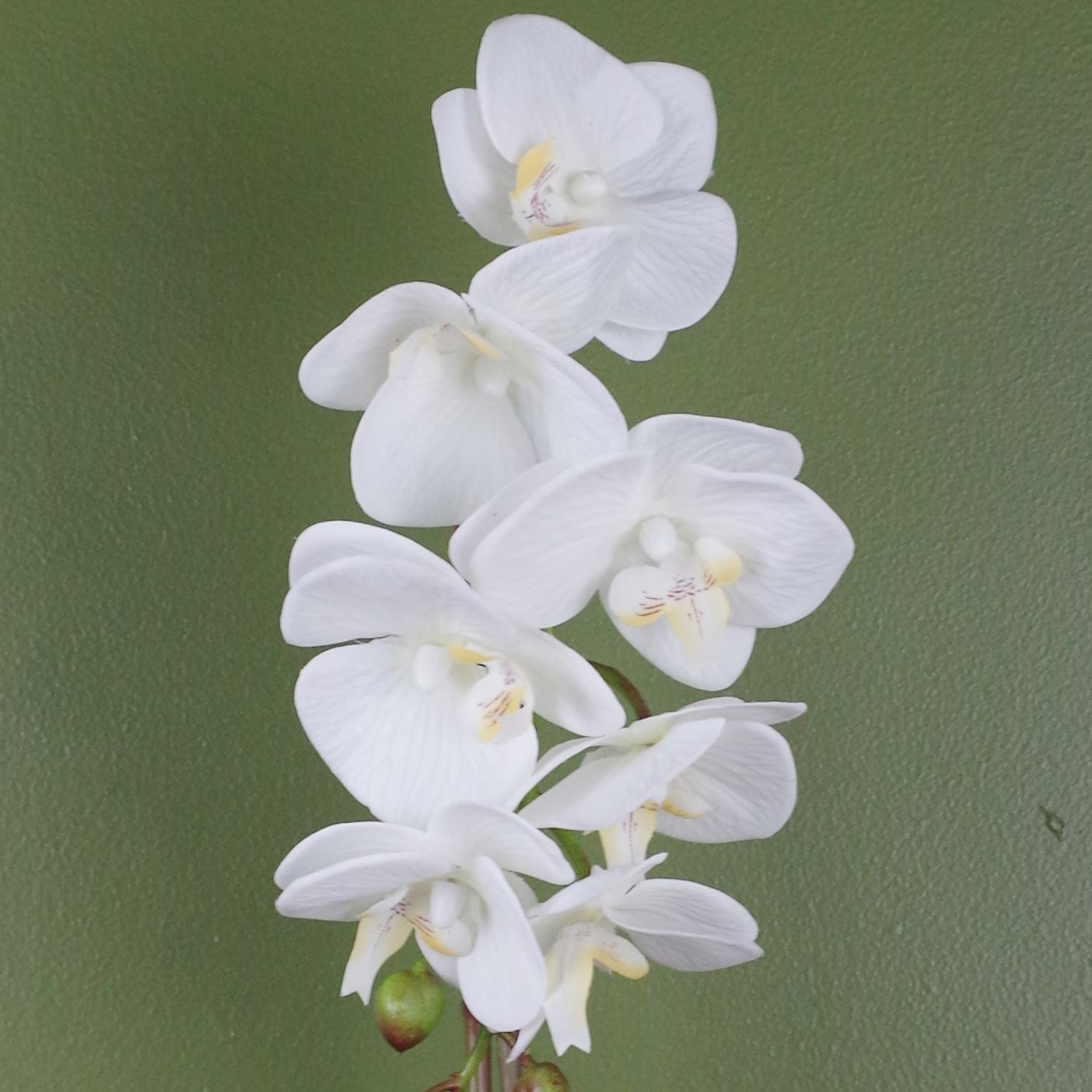 Artificial 46cm Orchid White With Silver Pot