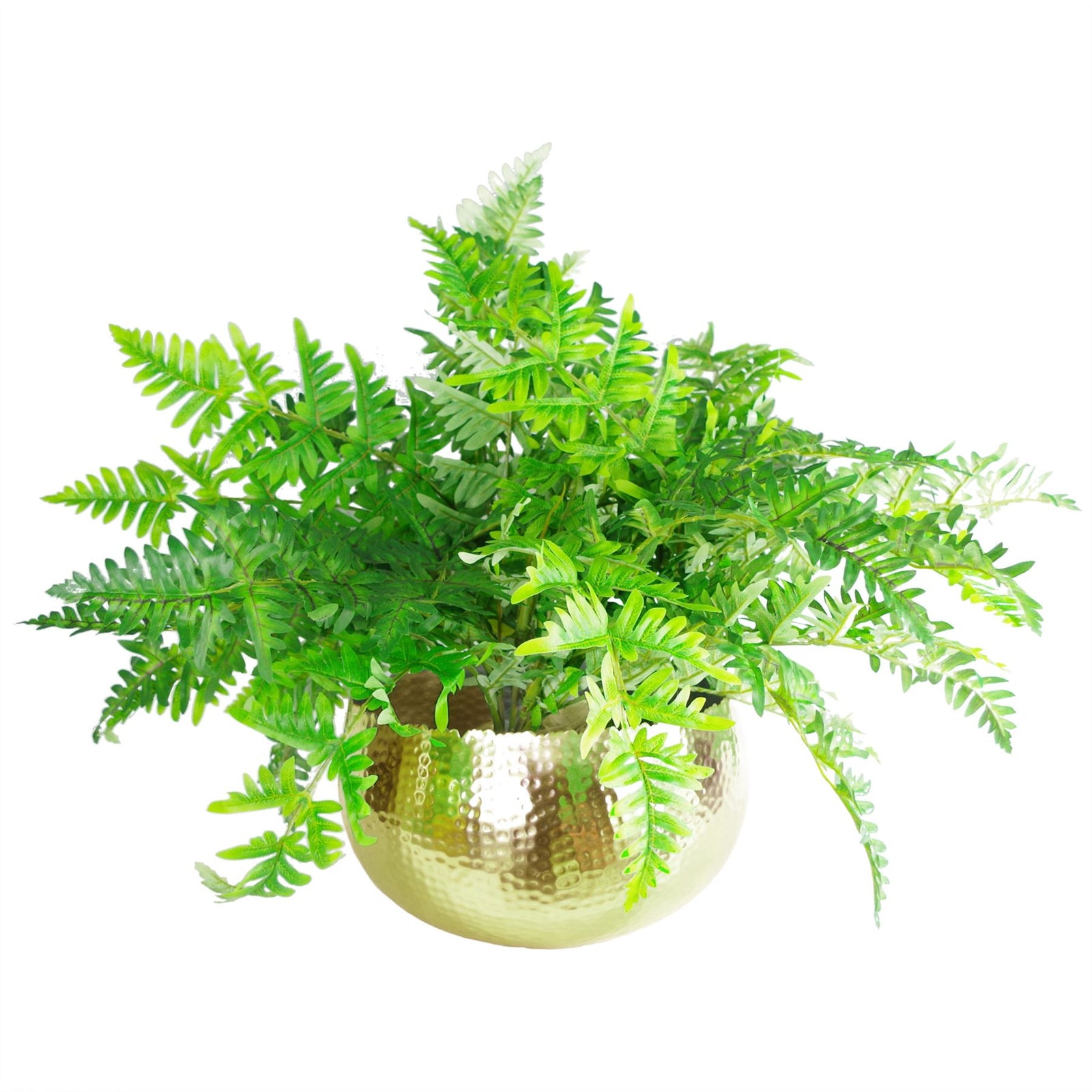 Large Metal Planter Bowl 32 X 20cm Hammered Gold Colour - Curvy Edge