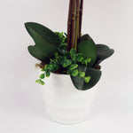 Artificial Deluxe Bush Orchid Pink 85cm Bush Orchid Lots Of Flowers Botanik