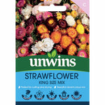 Strawflower 'king Size' Seeds | 250 Seeds