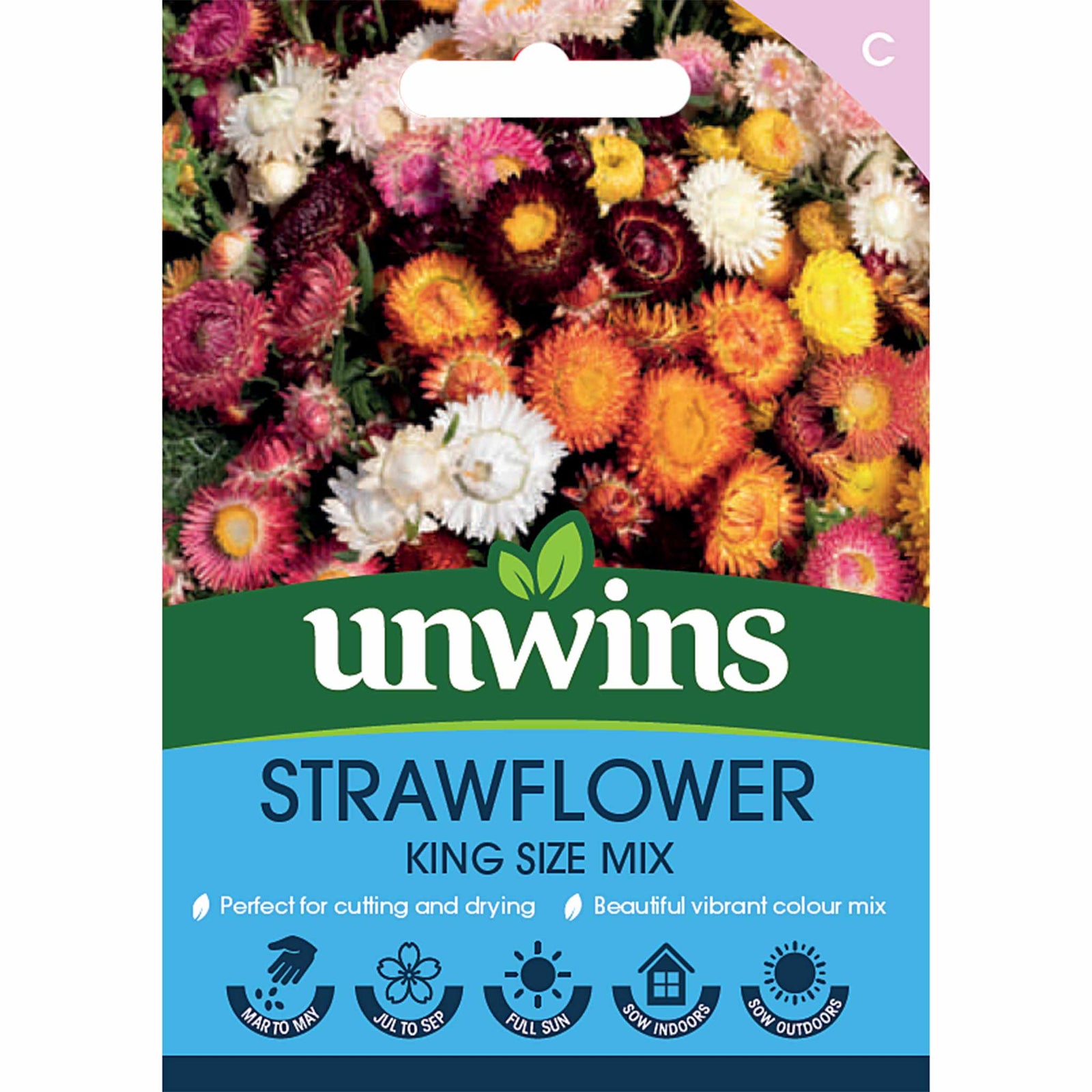 Strawflower 'king Size' Seeds | 250 Seeds