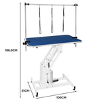 White Hydraulic Grooming Table | Blue