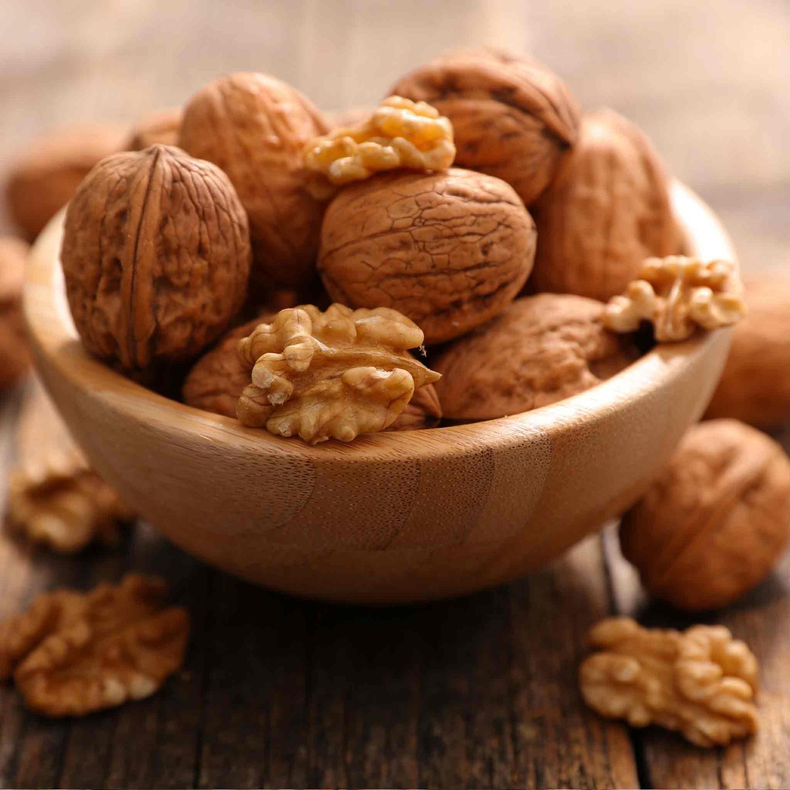 Common Walnut Tree (bare-root, Juglans Regia) | 1 x Bare Root