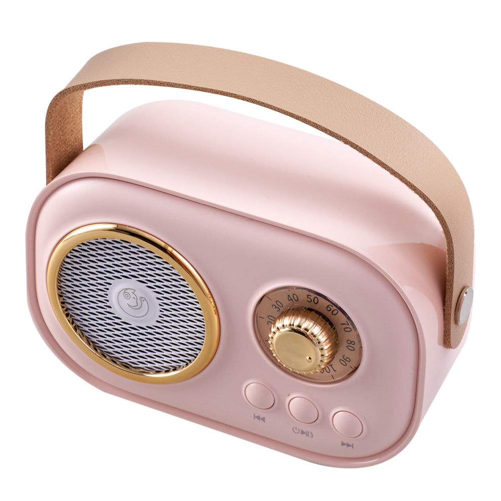 Portable Retro Bluetooth Karaoke Speaker With Two Wireless Microphones | Pink