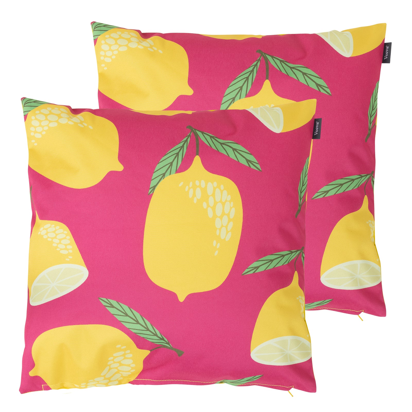 Fruit Print Set Of 2 Outdoor Cushion