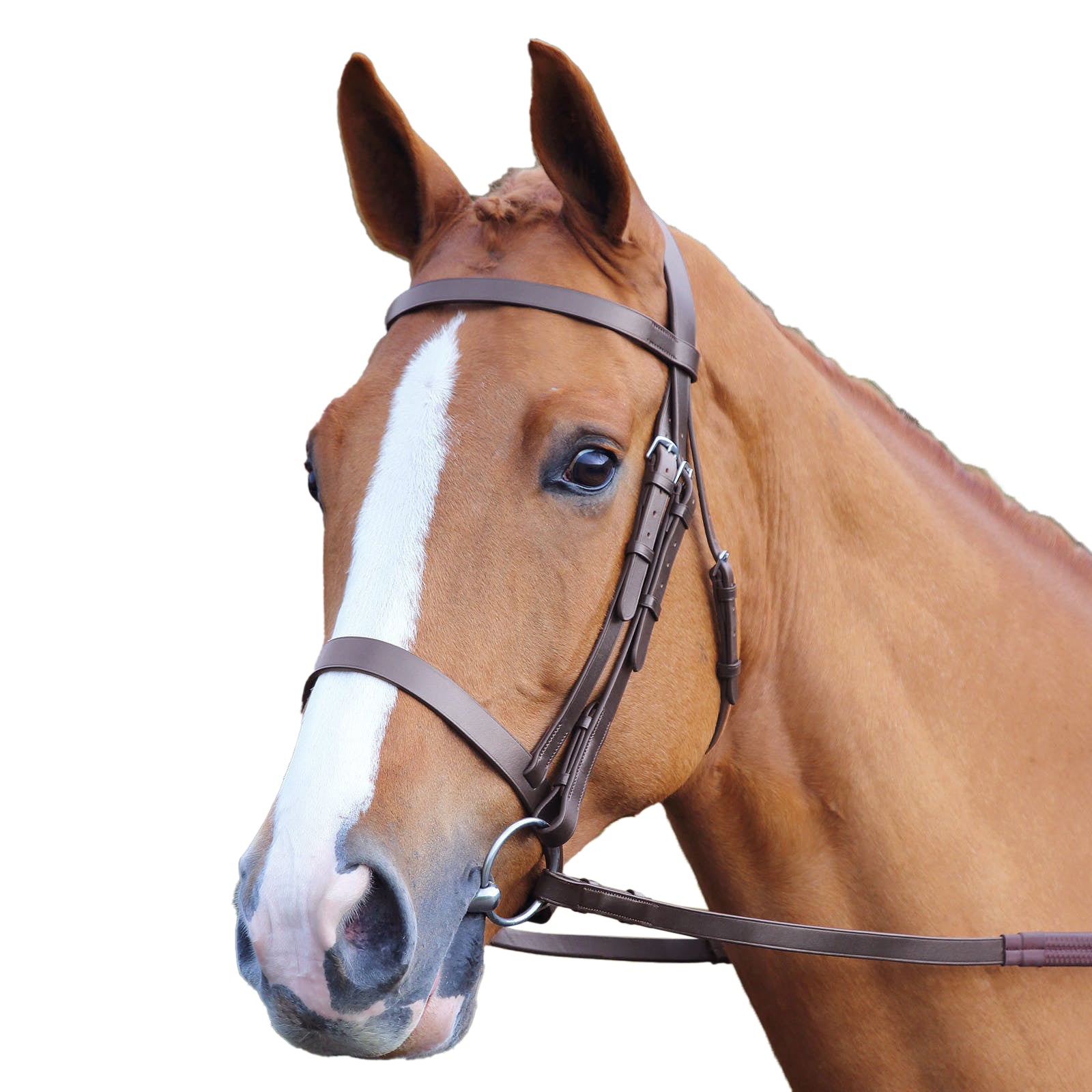 Plain Leather Horse Bridle | One Size | Kingston (Terracotta)