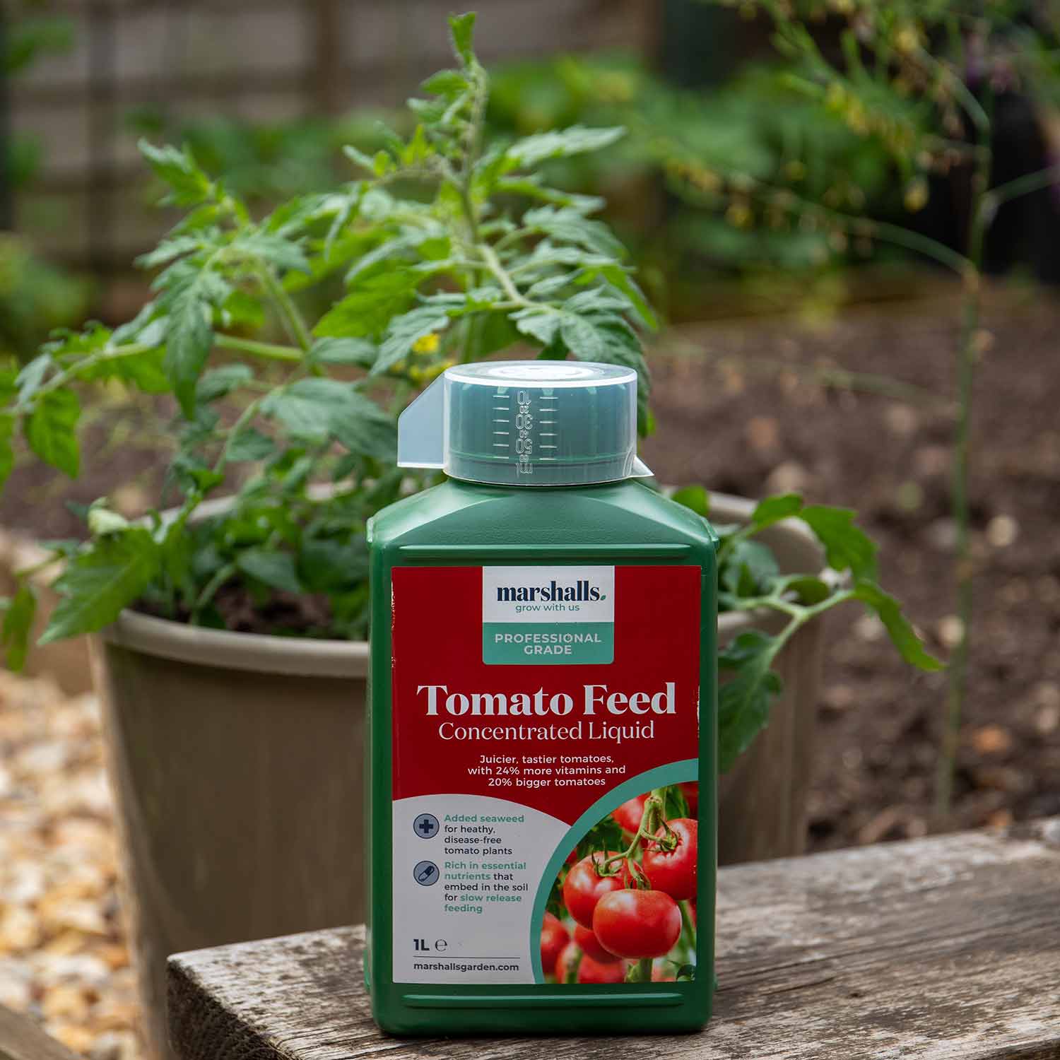 Liquid Tomato Feed | 1L