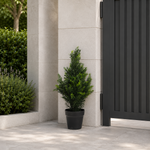 Artificial Cedar Cypress Topiary Uv Resistant 60cm