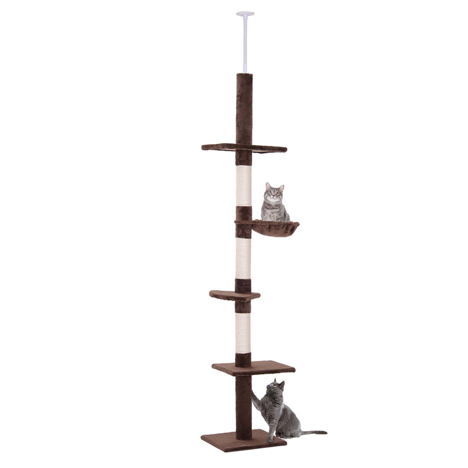 Floor To Ceiling Cat Tree For Indoor Cats 5-tier Kitty Tower | Brown