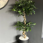 150cm Twisted Trunk Artificial Japanese Fruticosa Style Ficus Tree