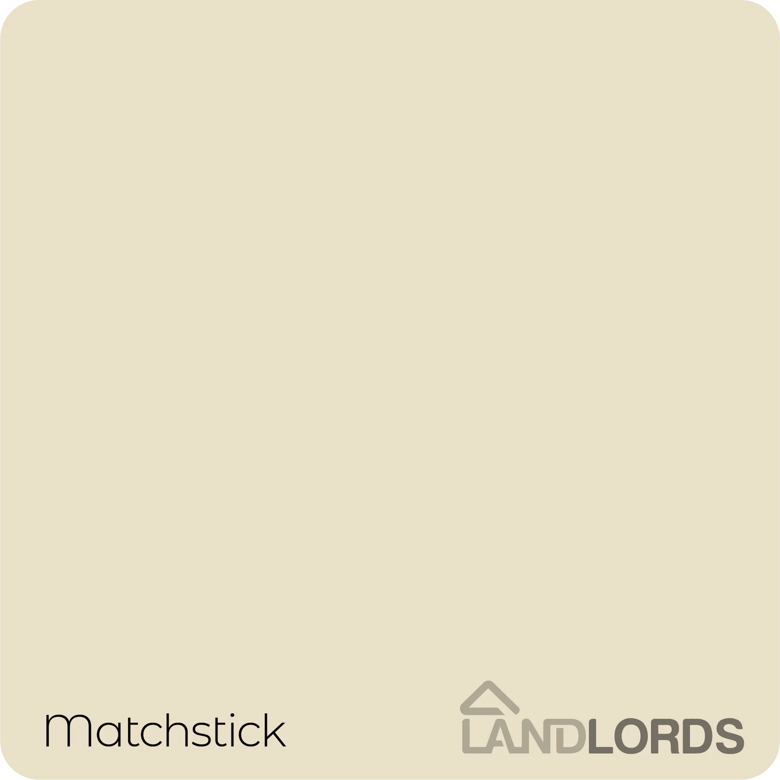Anti-damp Paint - Damp Proof Protection For Interior Walls & Ceilings | 1L | Matchstick