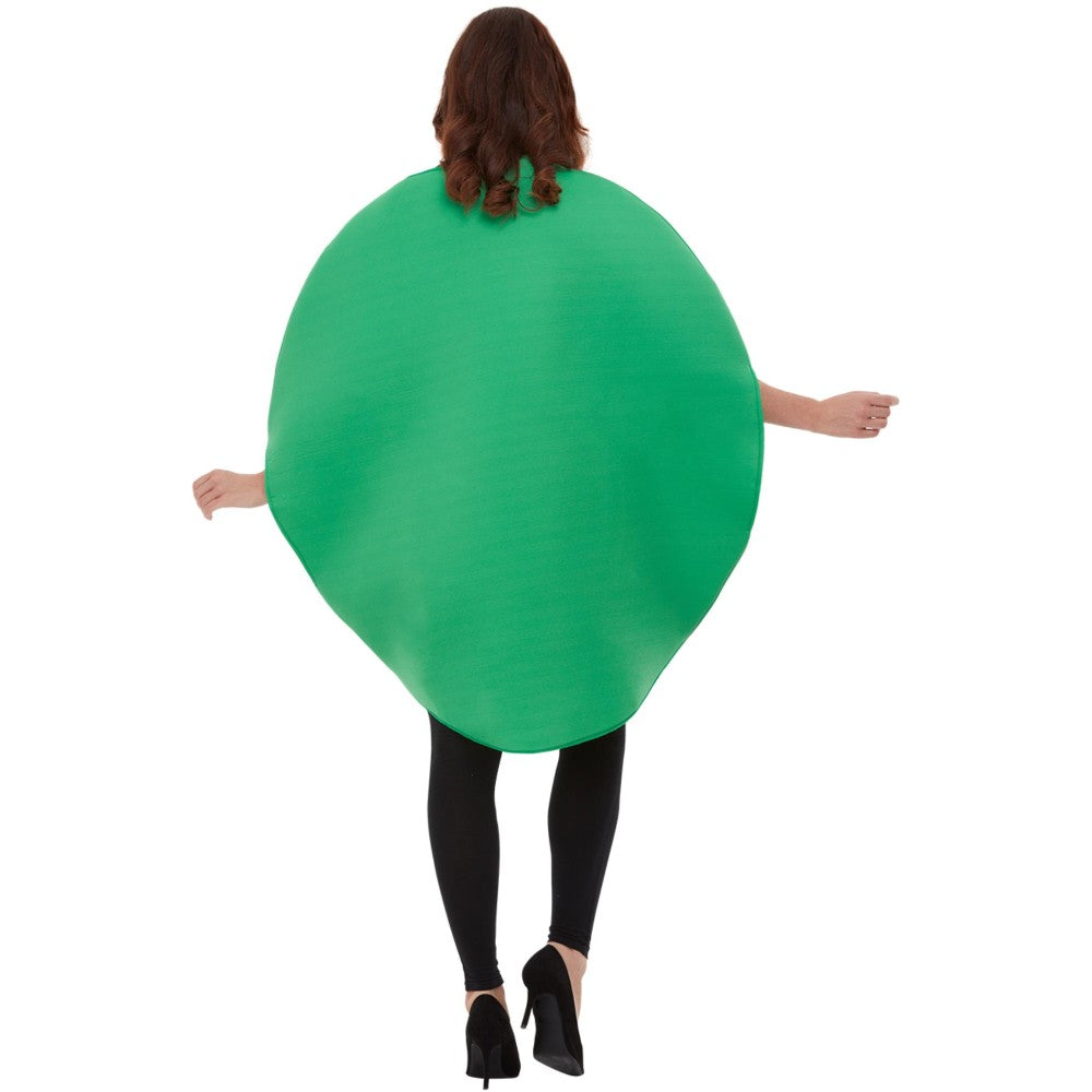 Watermelon Costume