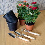 Garden Tool Set, 3 Piece Mini Potting, 2 Trowels & Prong