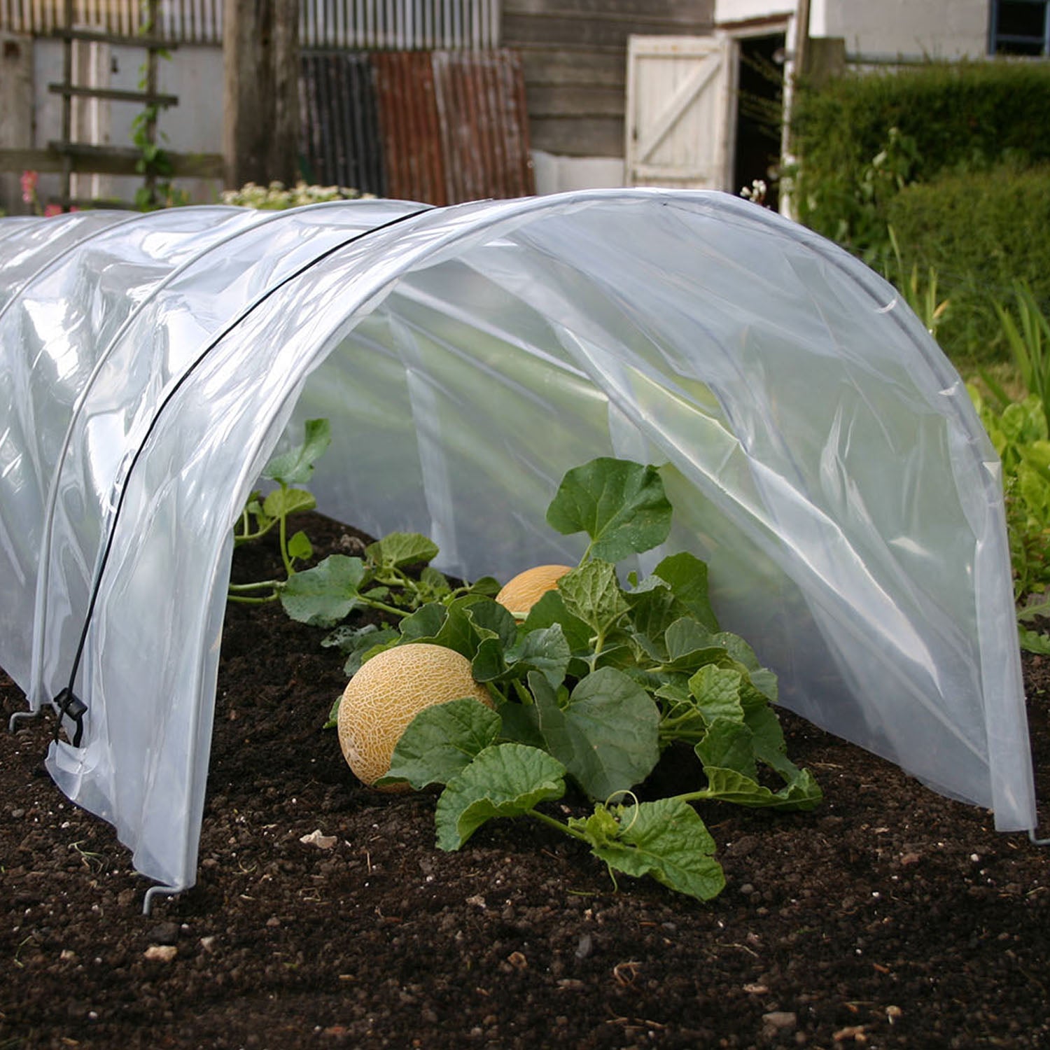 Giant Easy Poly Tunnel 3m 150-micron Heavy-duty Mini Greenhouse | Clear
