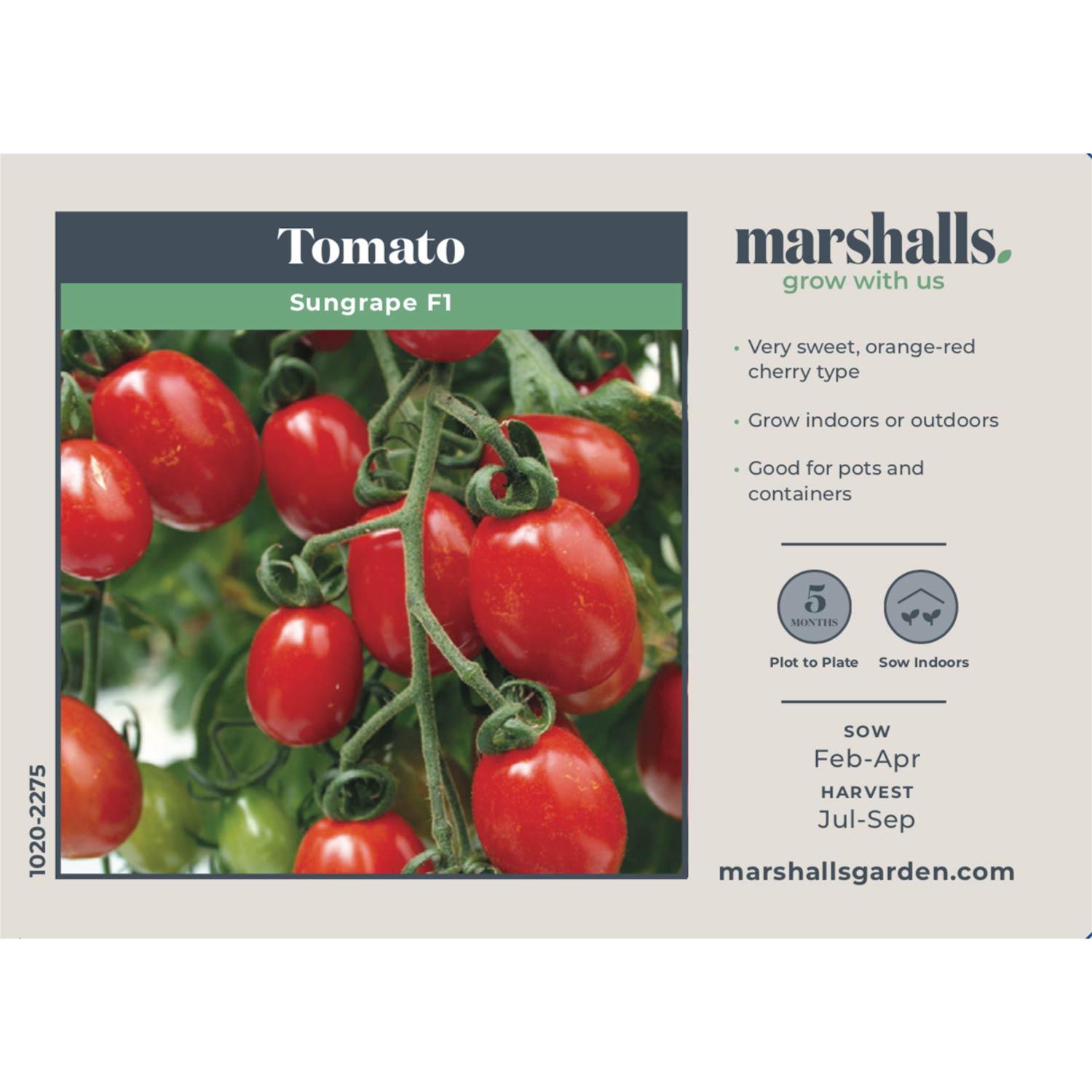 Sungrape F1 Cherry Tomato Seeds | 6 Seeds