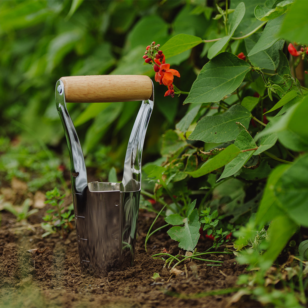 Bulb Planter, Carbon Steel Hand Tool | Set of 1